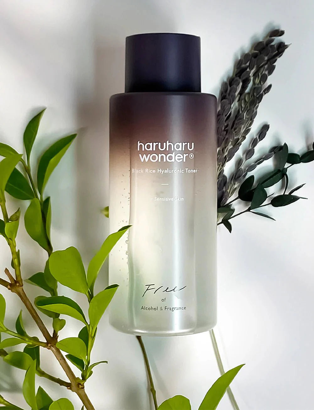 [ Haruharu Wonder]  Black Rice Hyaluronic Toner 150ml_For  Sensitive Skin - Authentic Korean Skincare Pakistan